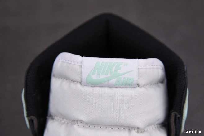 1 Jordan Igloo High Retro 861428-100 0811